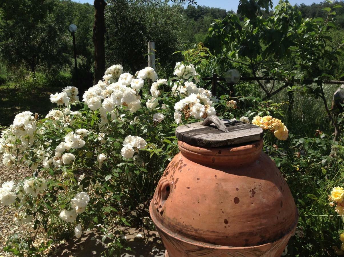 Agriturismo Prato Barone Rufina Eksteriør billede