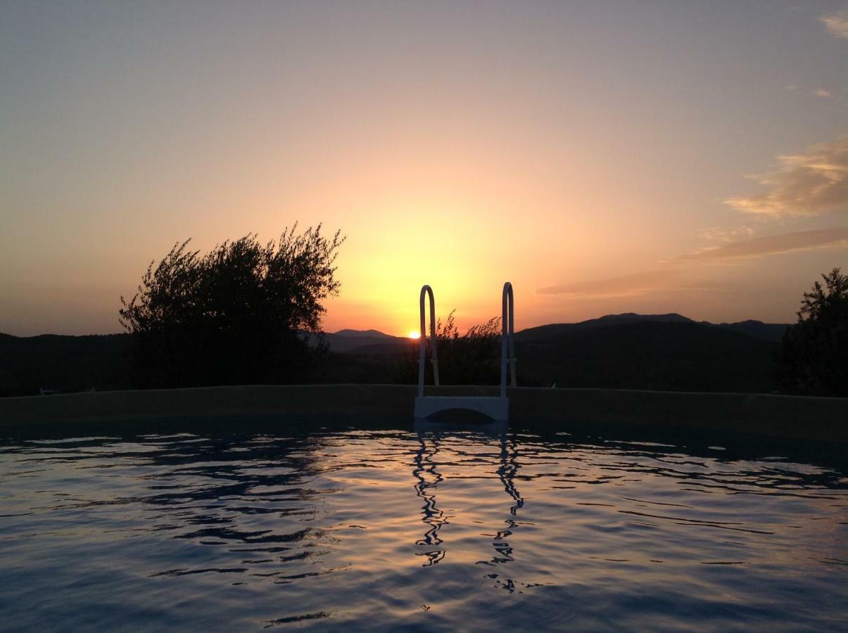 Agriturismo Prato Barone Rufina Eksteriør billede