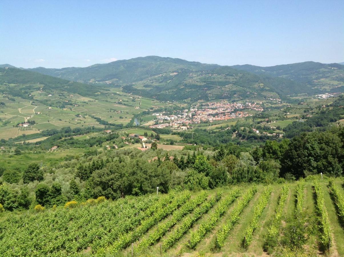 Agriturismo Prato Barone Rufina Eksteriør billede