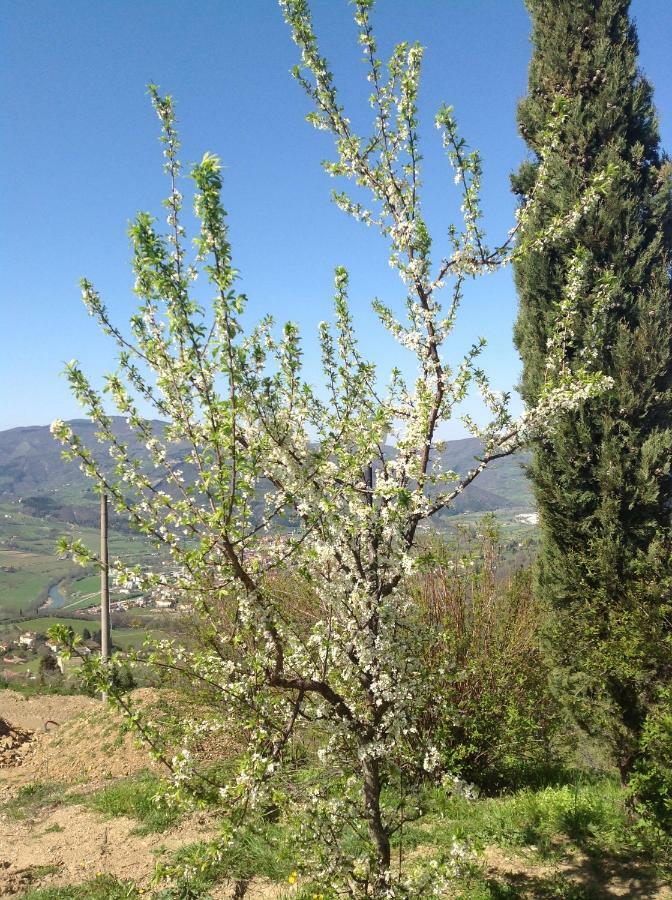 Agriturismo Prato Barone Rufina Eksteriør billede